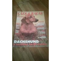 Cães E Racas N. 02 - Dachshund, usado comprar usado  Brasil 
